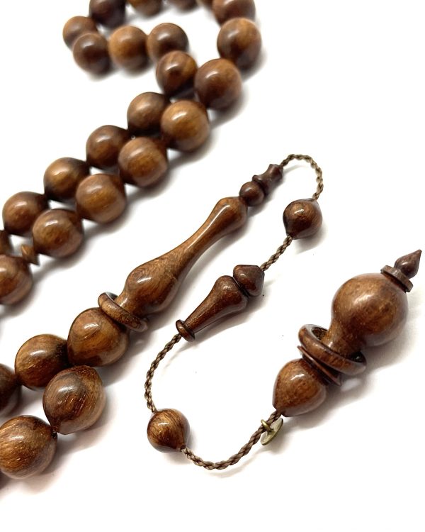 Halkalı İmameli Havşa Delikli Yılan Ağacı